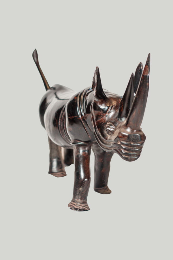 RHINO - Image 2