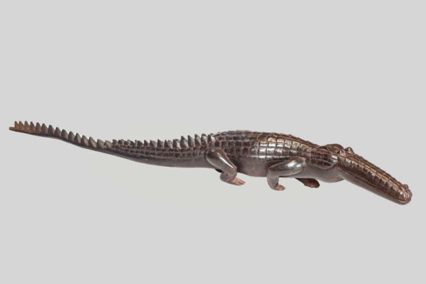 Crocodile